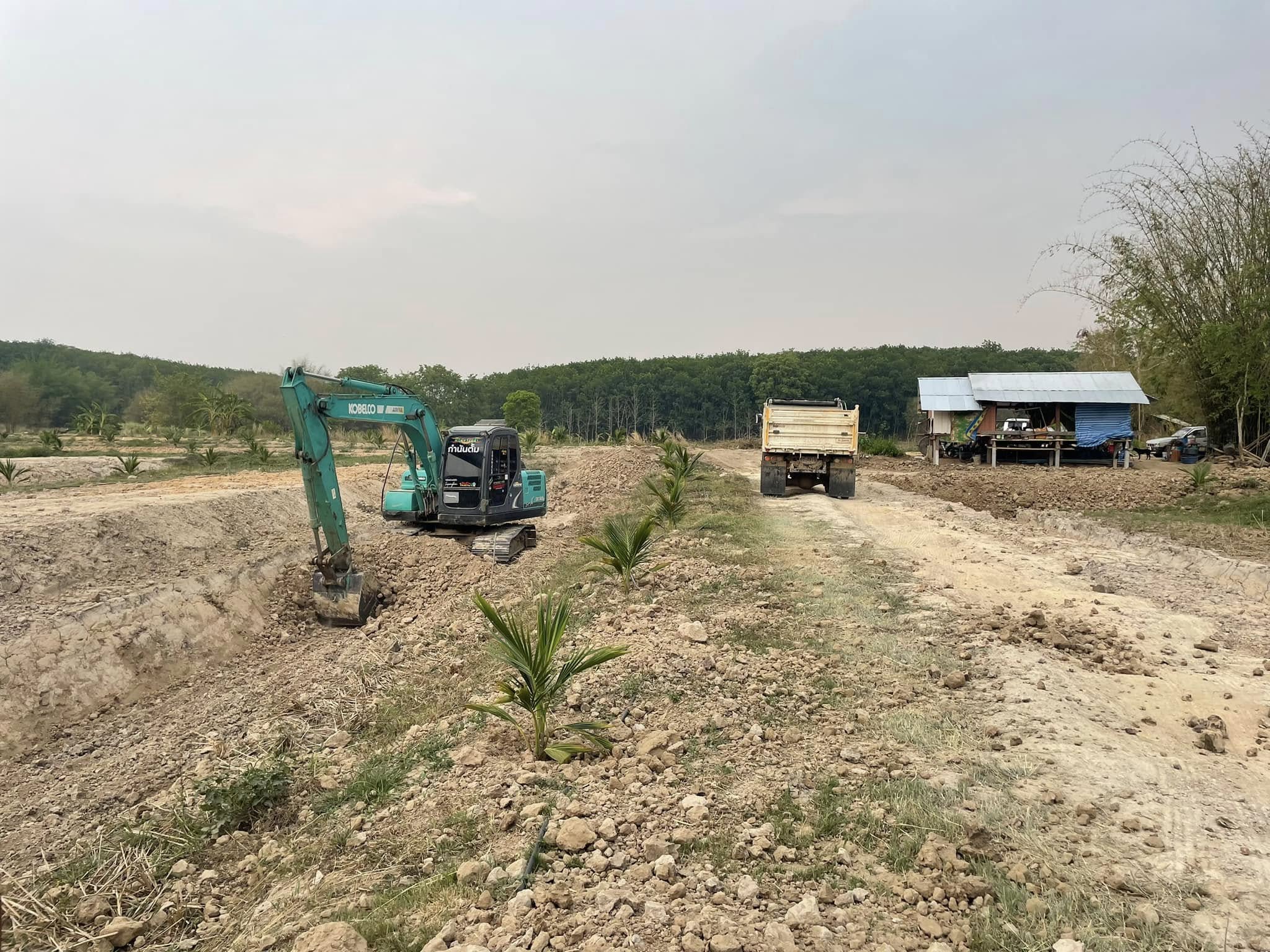 แม็คโครในสนาม